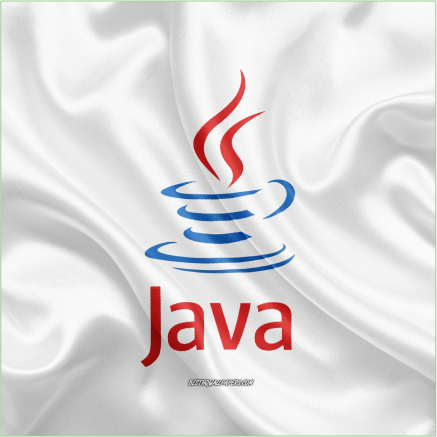 Vad är en Java-utvecklare?